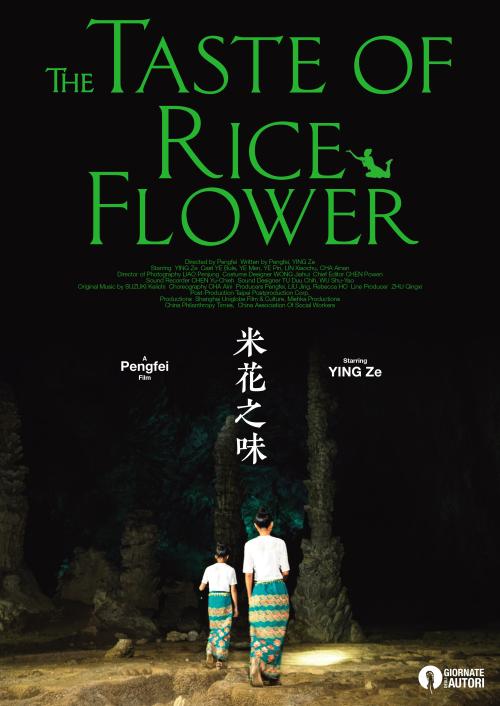 纽约州怎么仿制
